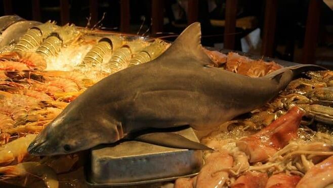 Shark meat to enhance potential
