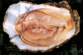 Oyster is a powerful sexual stimulant